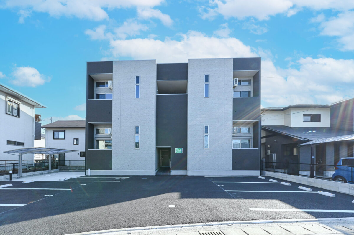 弊社企画ステラシリーズのご紹介